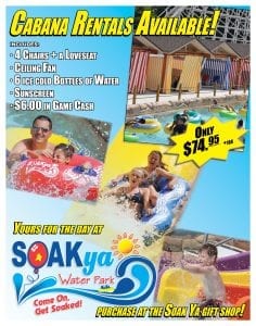 Chattanooga Water Park Rental Offer