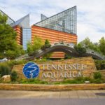 Tennessee Aquarium, a popular thing to do in Chattanooga with kids